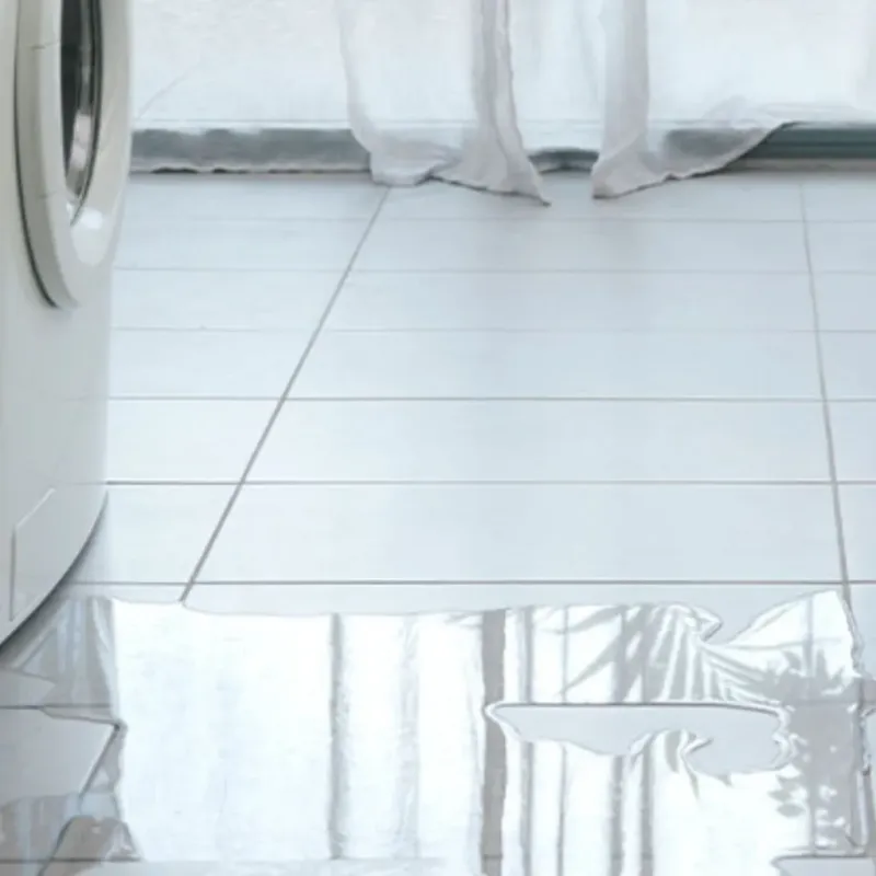 Appliance Leak Cleanup in Fayette County, AL