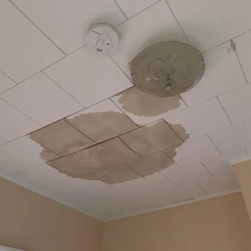 Ceiling Water Damage Repair in Fayette County, AL