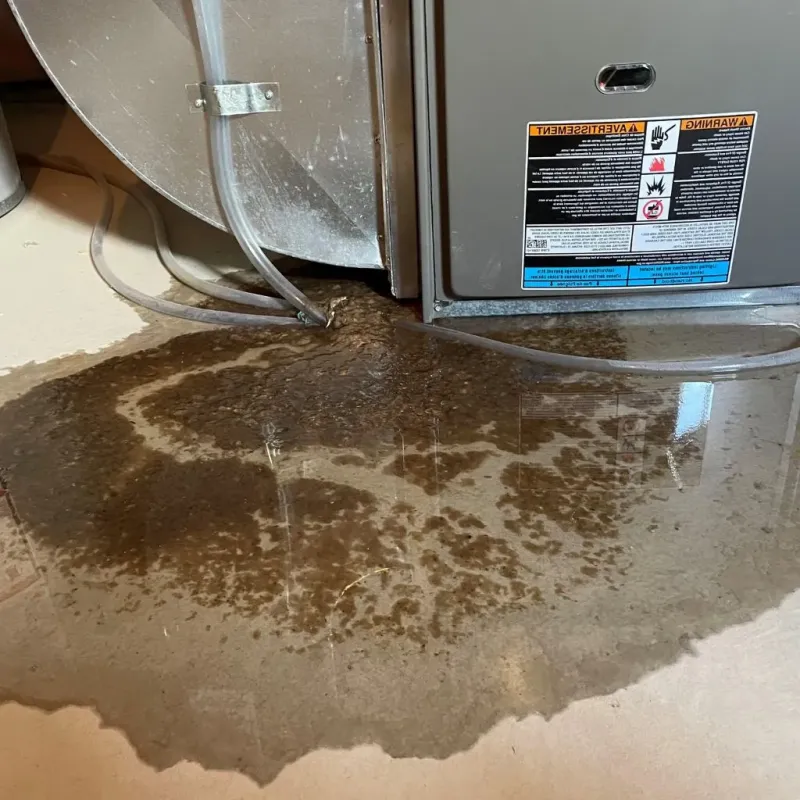 Pipe Burst and Leak Restoration in Fayette County, AL