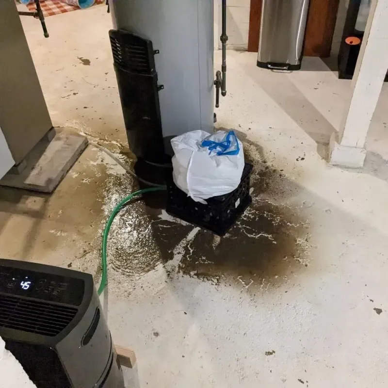 Sewage Backup Cleanup Service in Fayette County, AL